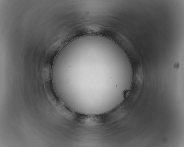 X0000111220468200907091316