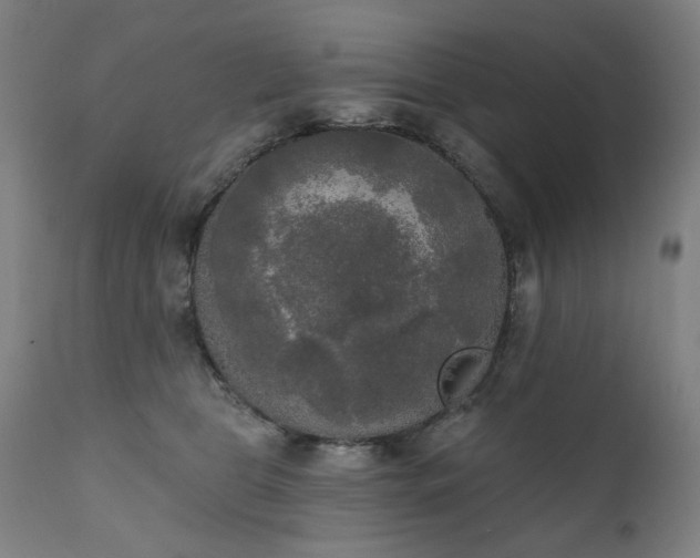X0000111220469200907091316
