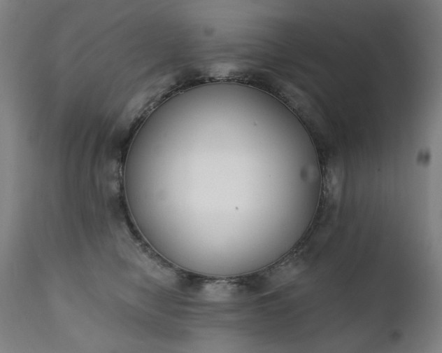 X0000111220470200907091316