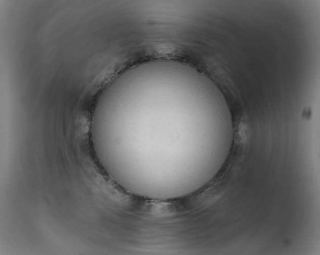 X0000111220472200907091316