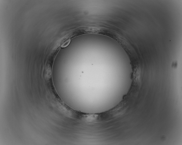 X0000111220474200907091316