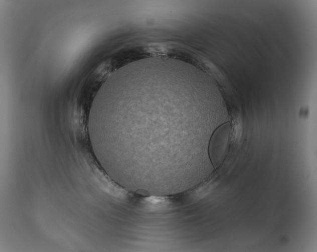 X0000111220477200907091316