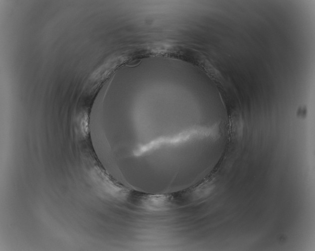 X0000111220479200907091316