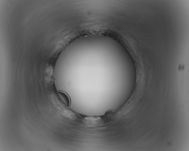 X0000111220480200907091317