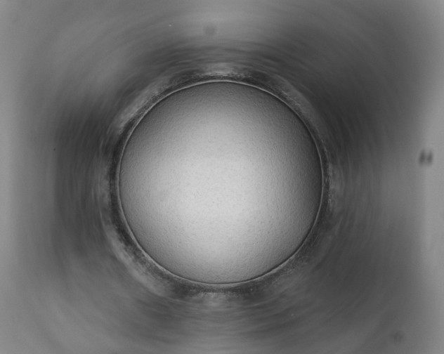 X0000111220482200907091316