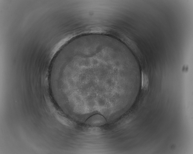 X0000111220483200907091316