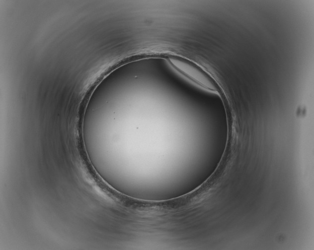 X0000111220485200907091316