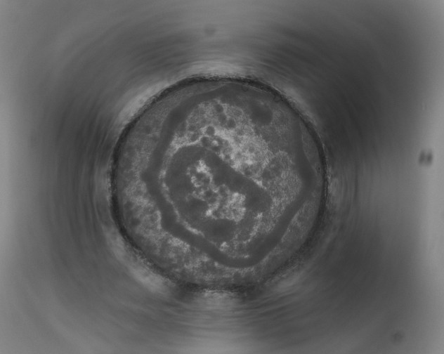 X0000111220487200907091316