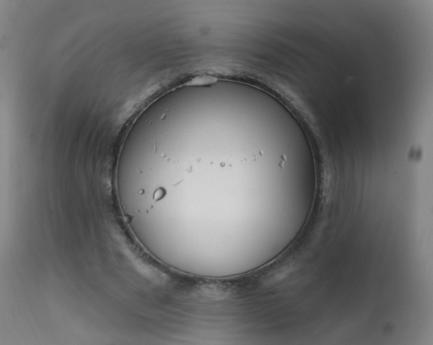 X0000111220489200907091316
