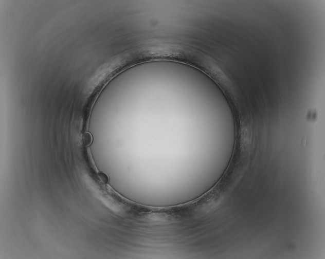 X0000111220490200907091316