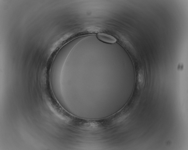 X0000111220492200907091316