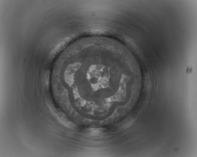 X0000111220495200907091316