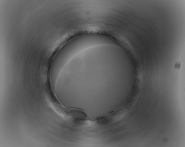 X0000111220496200907091316