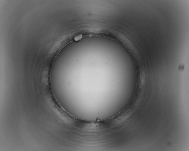 X0000111220497200907091316
