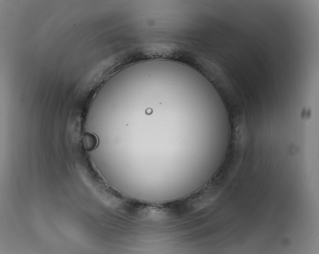 X0000111220498200907091316