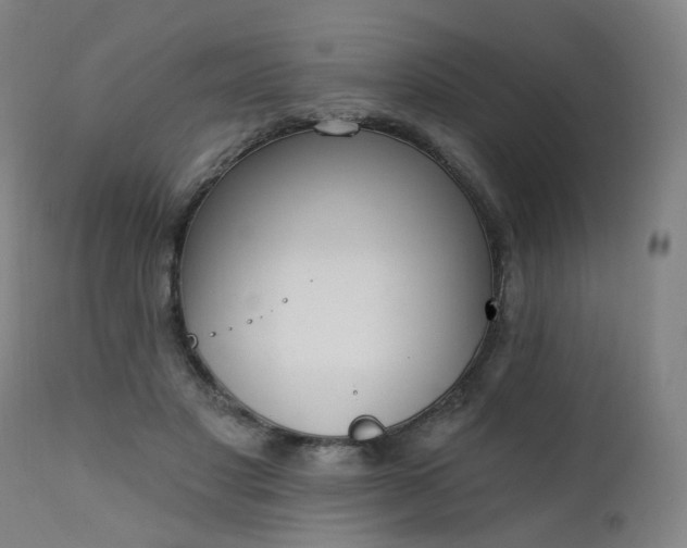 X0000111220501200907091316