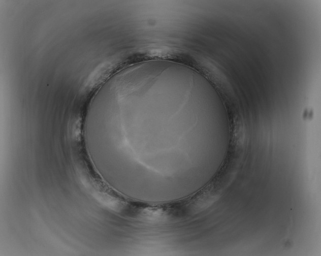 X0000111220502200907091316