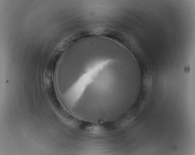 X0000111220503200907091316