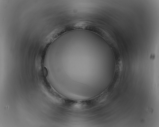X0000111220504200907091316