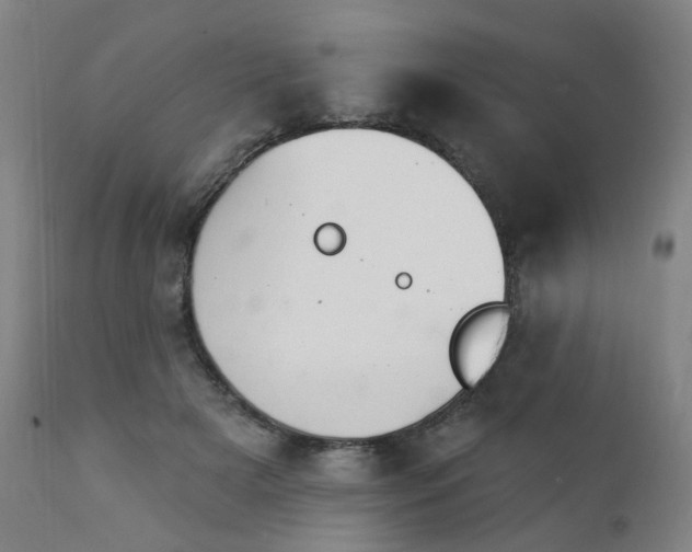 X0000111220505200907091316