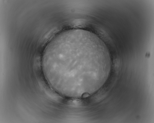 X0000111220506200907091316