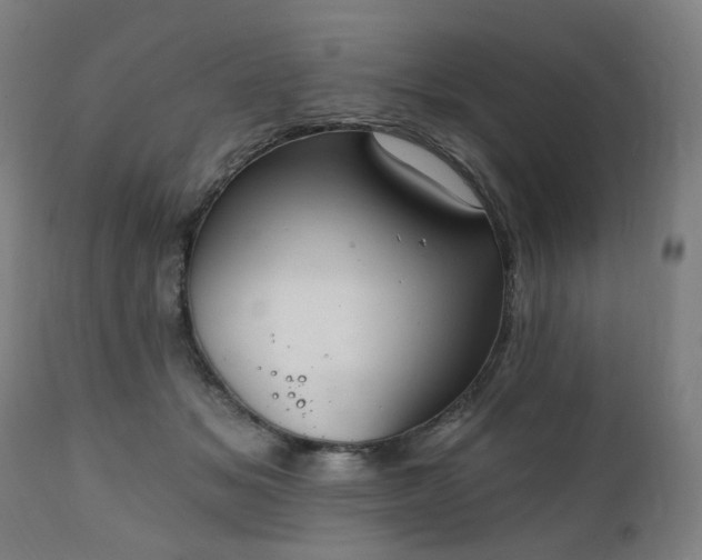 X0000111220509200907091315