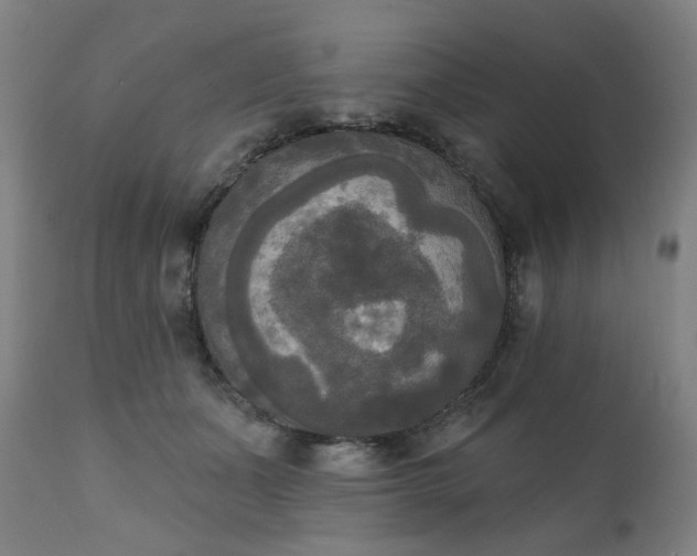 X0000111220511200907091315