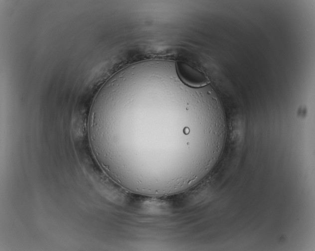 X0000111220515200907091315