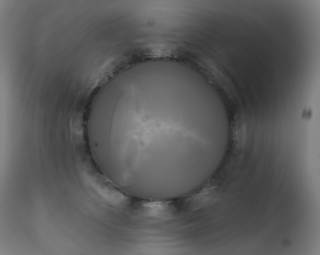 X0000111220516200907091315