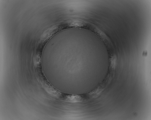 X0000111220517200907091315