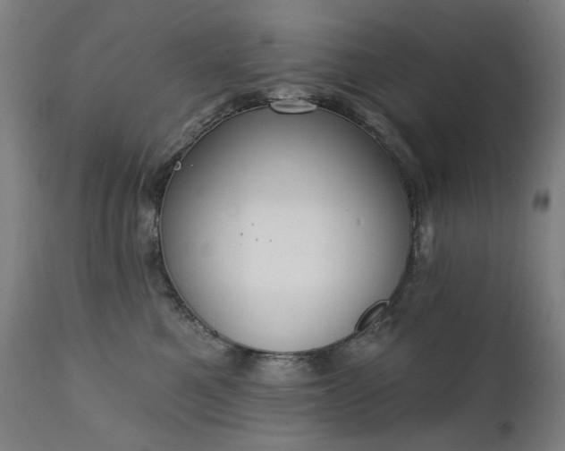 X0000111220521200907091315