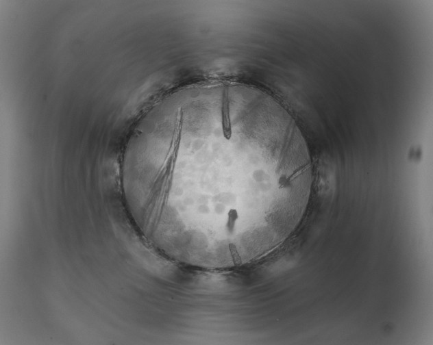 X0000111220523200907091315