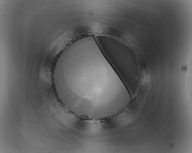 X0000111220524200907091315