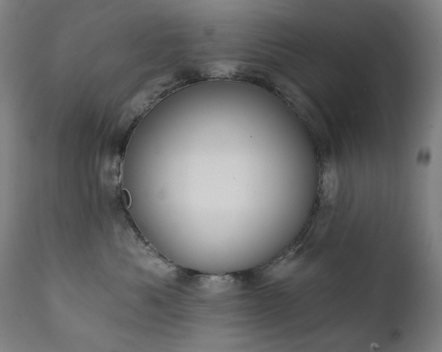 X0000111220525200907091315