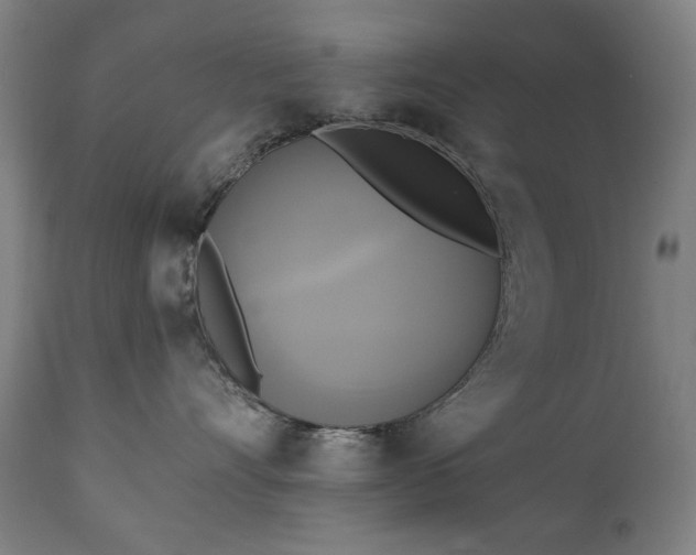 X0000111220528200907091315