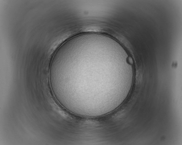 X0000111220529200907091314