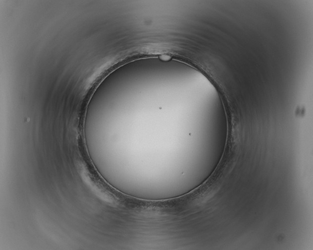 X0000111220530200907091314