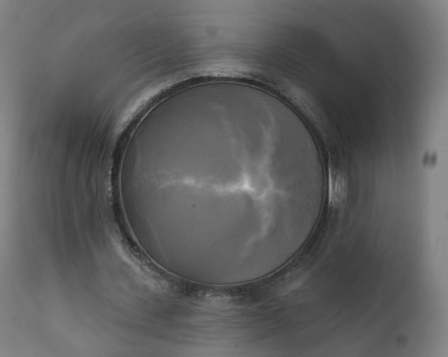 X0000111220531200907091314