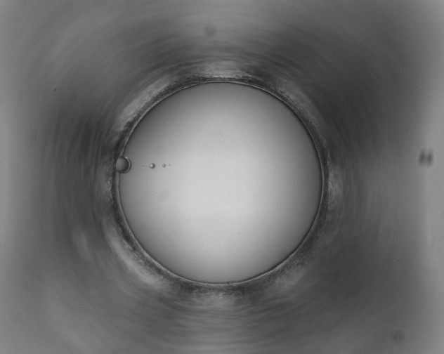 X0000111220533200907091314
