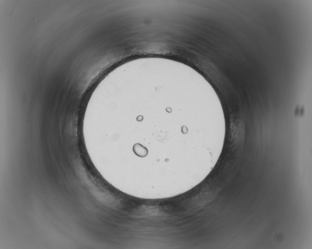 X0000111220534200907091314