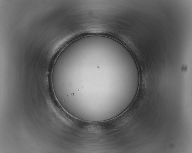 X0000111220535200907091314