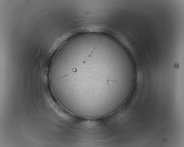 X0000111220537200907091314