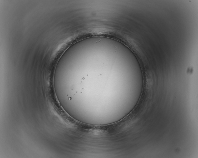 X0000111220539200907091314