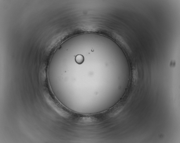 X0000111220541200907091314