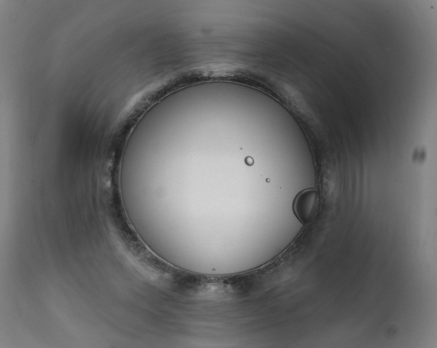 X0000111220543200907091314