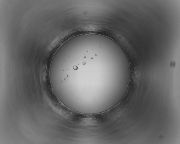 X0000111220544200907091314