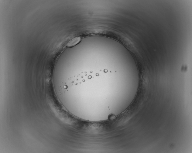 X0000111220546200907091314