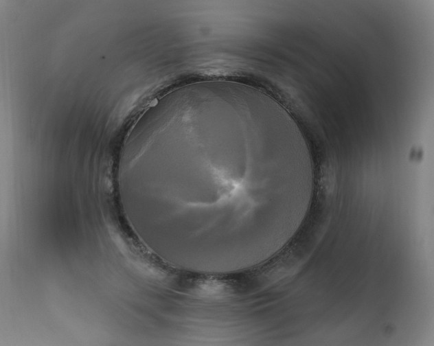 X0000111220547200907091314
