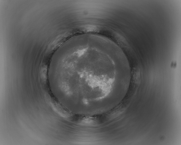 X0000111220550200907091314