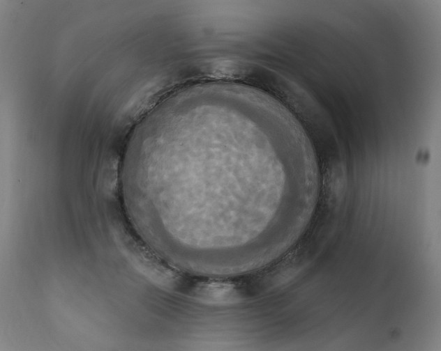 X0000111220554200907091314